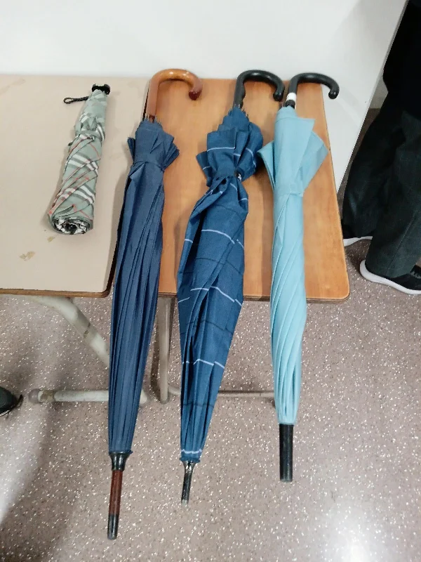 傘 青系 の写真